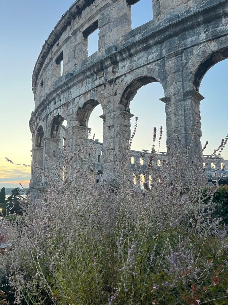 Pula Arena with lavender in front