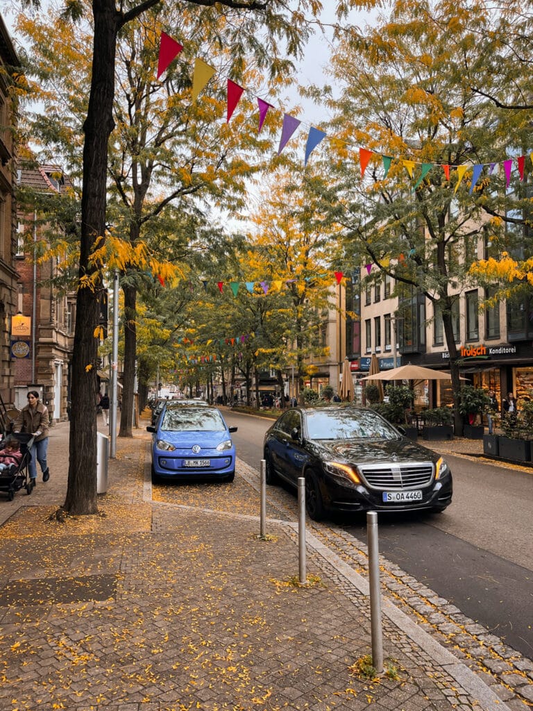 IMG_8784-Edited-33 Leaves falling in small German town