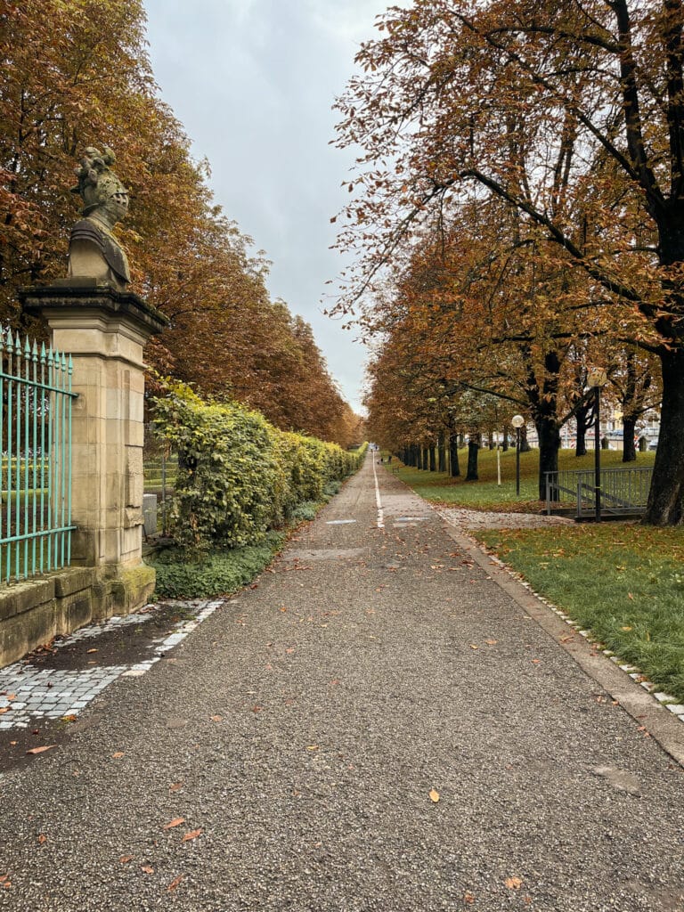 IMG_8796-Edited-37 Fall foliage outside palace gates in small town Germany