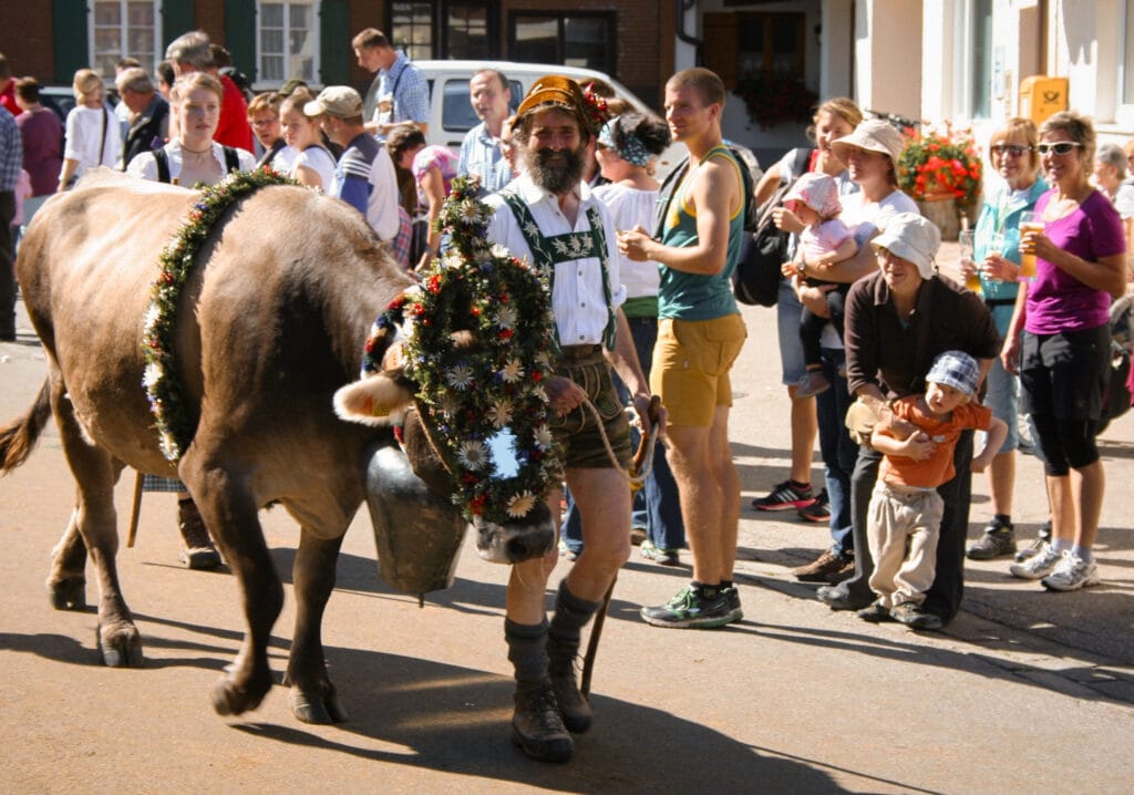 almpixel-allgau-1024696_1920-Edited-45 Cow parading through streets with flower crown